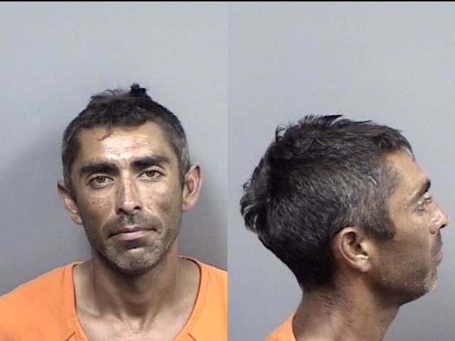Joshua Franklin Nixon